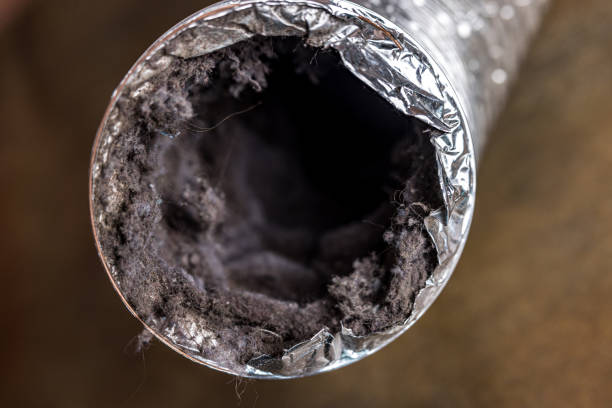 Best Air Duct Cleaning Near Me  in Rochester, WI