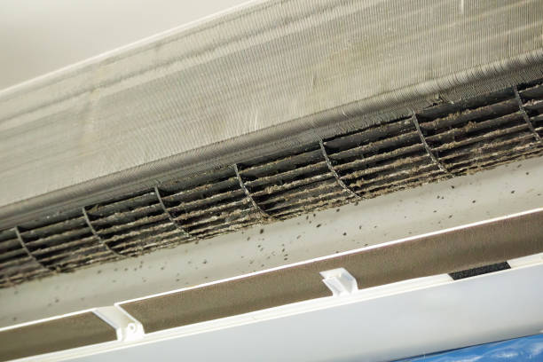 Best HVAC Air Duct Cleaning  in Rochester, WI